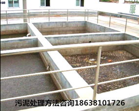 河南劃算的污泥處理設(shè)備與有機肥設(shè)備代理加盟指南