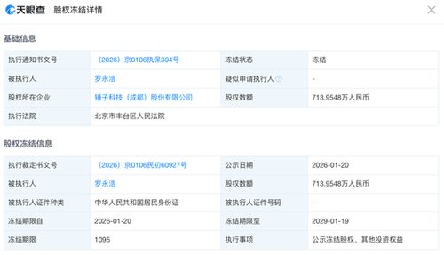 羅永浩股權被凍結背后 科技創(chuàng)業(yè)者的風險與反思
