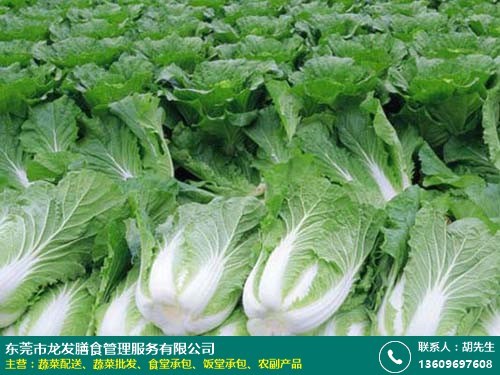 龍發(fā)膳食 專(zhuān)業(yè)綠色蔬菜批發(fā)，為商場(chǎng)、酒樓及工廠食堂提供長(zhǎng)期新鮮配送服務(wù)